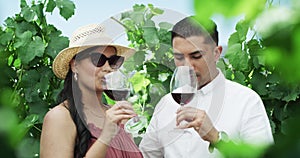 Vineyard, wine tasting and couple in nature drinking an alcohol beverage in summer. Farm, adventure and young people