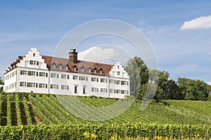 Vineyard and winery photo