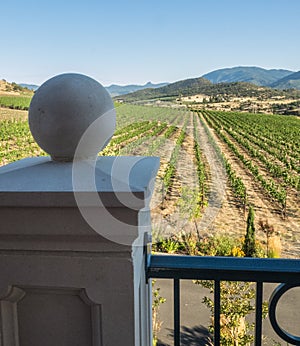 Vineyard and winery in rural area