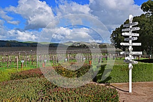 Vineyard during winter in Barossa Valley, South Australia with signboard showing direction of different large city and distance.