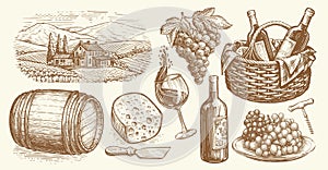 Vineyard, wooden cask, glass and bottle of wine, bunch grapes, corkscrew, piece of cheese vintage sketch. Winery set