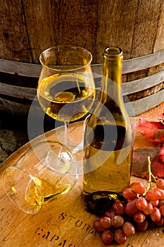 Vineyarde Still Life