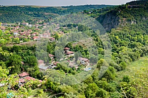 Vineyards along the Danube river in North East Bulgaria