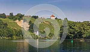 Vineyards along the river Neckar in Stuttgart photo