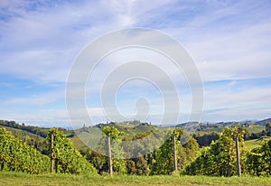 Vineyards along South Styrian Wine Road, a charming region on the border between Austria and Slovenia with green rolling hills,