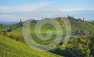 Vineyards along South Styrian Wine Road, a charming region on the border between Austria and Slovenia with green rolling hills,