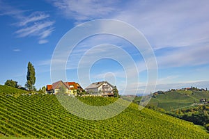 Vineyards along South Styrian Wine Road, a charming region on the border between Austria and Slovenia with green rolling hills,