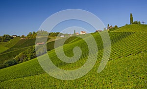 Vineyards along South Styrian Wine Road, a charming region on the border between Austria and Slovenia with green rolling hills,