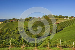 Vineyards along South Styrian Wine Road, a charming region on the border between Austria and Slovenia with green rolling hills,