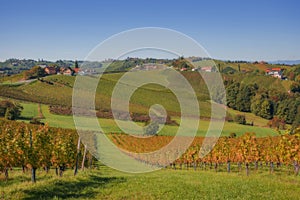 Vineyards along South Styrian Wine Road, a charming region on the border between Austria and Slovenia with green rolling hills,