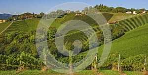 Vineyards along South Styrian Wine Road, a charming region on the border between Austria and Slovenia with green rolling hills,