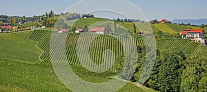 Vineyards along South Styrian Wine Road, a charming region on the border between Austria and Slovenia with green rolling hills,