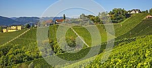 Vineyards along South Styrian Wine Road, a charming region on the border between Austria and Slovenia with green rolling hills,