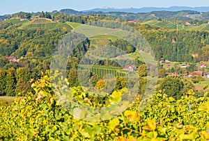 Vineyards along South Styrian Wine Road, a charming region on the border between Austria and Slovenia with green rolling hills,