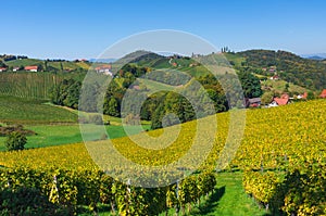 Vineyards along South Styrian Wine Road, a charming region on the border between Austria and Slovenia with green rolling hills,