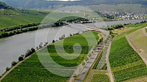 Vineyards alongside the river Moselle in Germany Bernkastel Kues. a well known winegrowing center