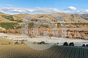 Vineyards alongside Wairau River in Marlborough region, South Island, New Zealand