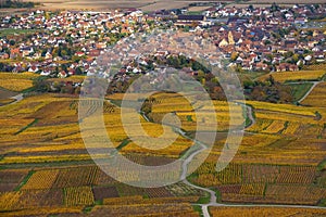 Vineyards of Alsace in late fall, France