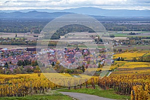 Vineyards of Alsace in late fall, France