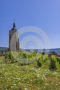 Vineyards with Arbois church, Department Jura, Franche-Comte, France