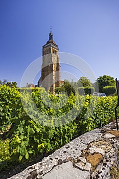 Vineyards with Arbois church, Department Jura, Franche-Comte, France