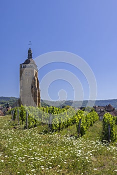 Vineyards with Arbois church, Department Jura, Franche-Comte, France