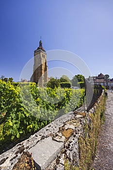 Vineyards with Arbois church, Department Jura, Franche-Comte, France