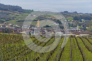 Vineyards with Arbois town, Department Jura, Franche-Comte, France photo