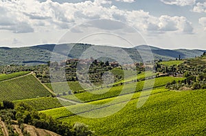 Vineyards in the area of Chianti in Tuscany, Italy