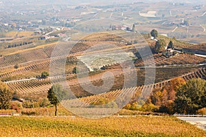 Vineyards in autumn and hills landscape in Barolo, Italy