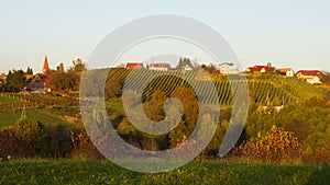 Vineyards In Autumn, Slovenia