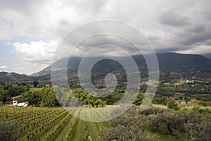 Vineyards in the big valley of the Taburno-Camposauro mountain massif.