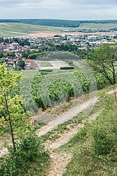 Vineyards of Burgundy, Chablis