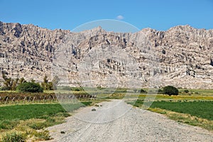Vineyards in Cafayate, Argentina