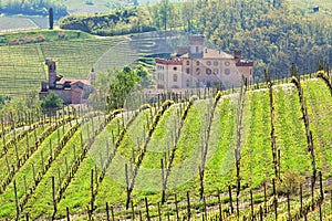 Vineyards and castle of Barolo. Piedmont, Italy.