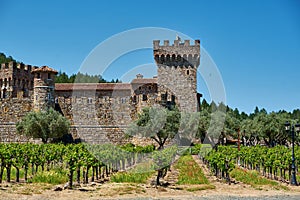 Vineyards with castle in California