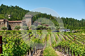 Vineyards with castle in California