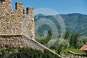 Vineyards with castle in California