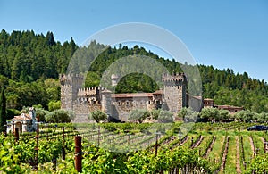 Vineyards with castle in California