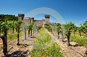 Vineyards with castle in California