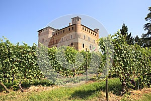 Vineyards and castle of Grinzane Cavour.