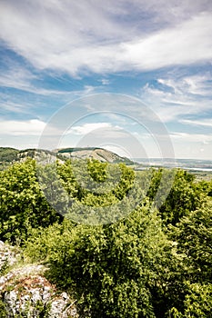 Vineyards, castle Sirotci Hradek, Palava, Moravia region, Czech Republic. romantic ruin in Palava and Devin highest mountain of Pa