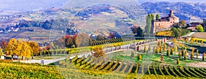 Vineyards and castles of Piemonte in autumn colors. Italy
