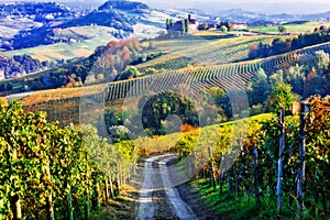 Vineyards and castles of Piemonte in autumn colors. North of Italy photo