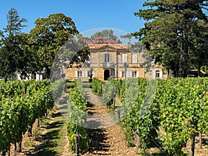 Vineyards at Chateau Marquis de Vaban - Blaye - France