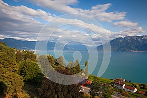 Vineyards of the Chexbres region over lake of Geneva