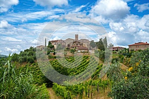 Vineyards of Chianti near Gaiole, Siena province photo