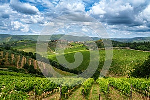 Vineyards of Chianti near Gaiole, Siena province photo