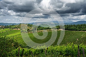 Vineyards of Chianti near Gaiole, Siena province photo