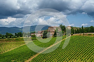 Vineyards of Chianti near Gaiole, Siena province photo